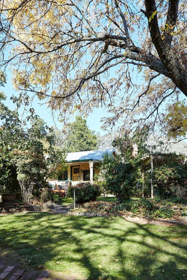 Tiffany'S Cottages Bright Exterior foto